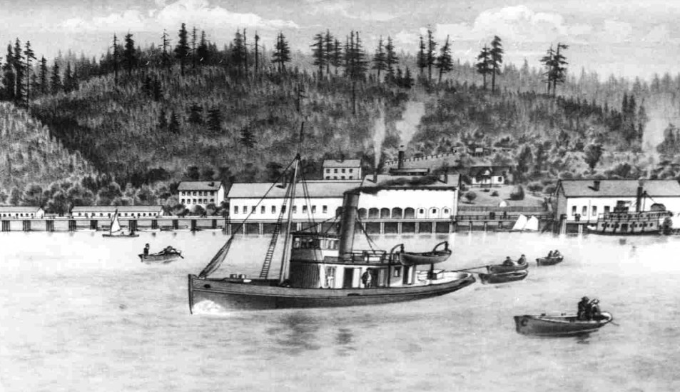 The Cook Cannery, 1889