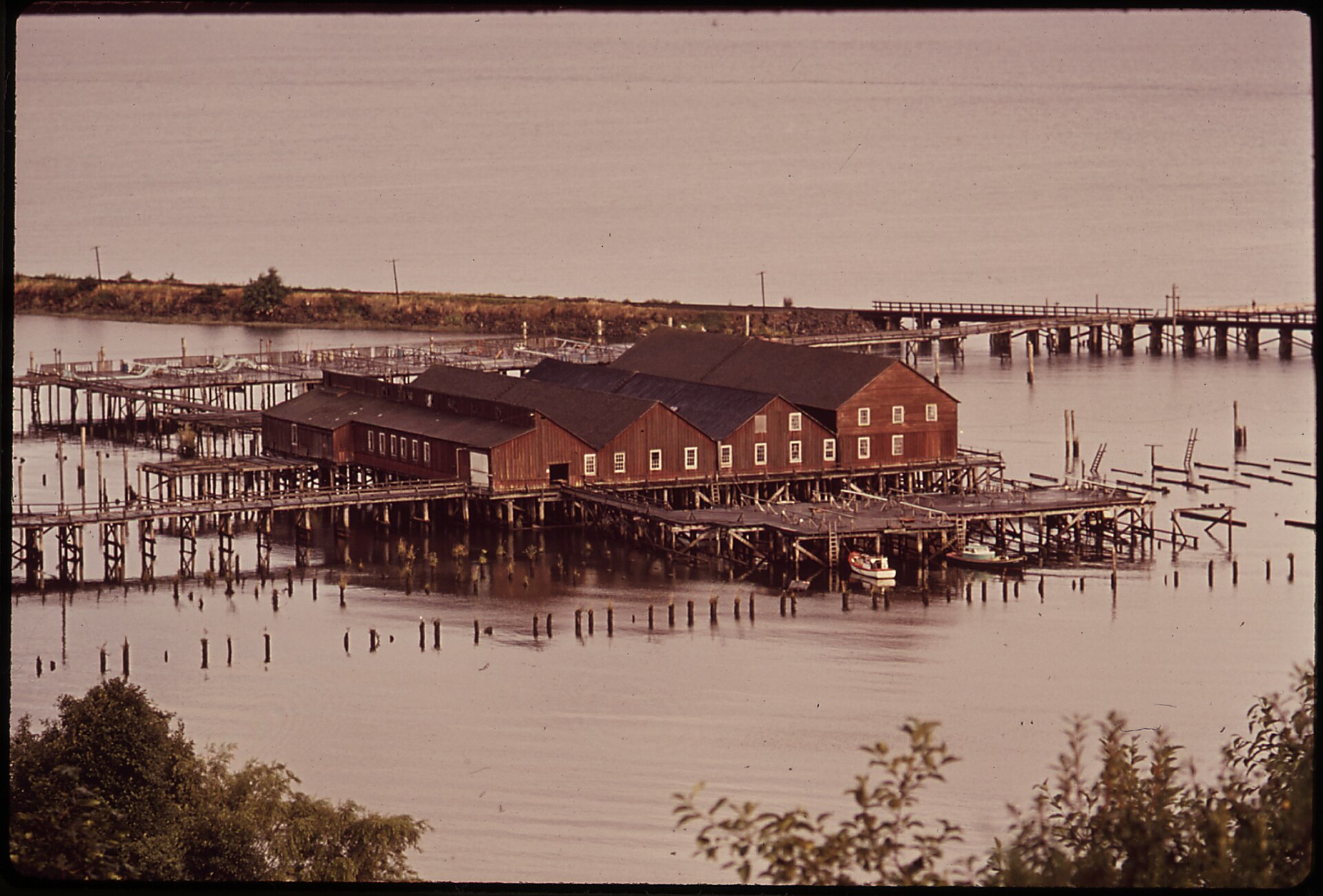 The fishing dock, 1972