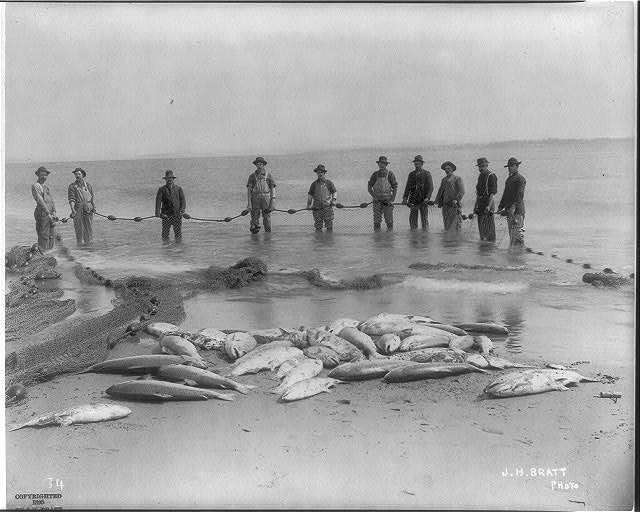 Ten fishermen with their net and catch, 1895