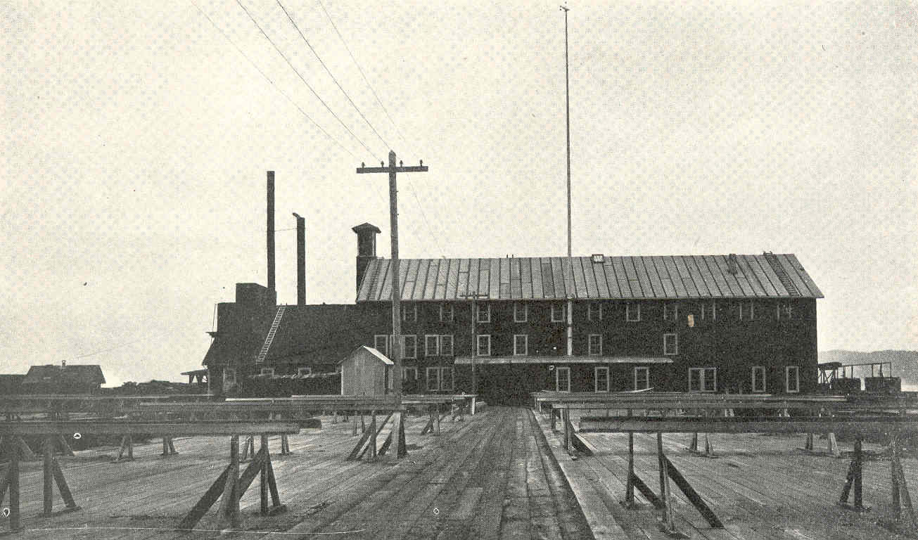 The Union Fishermen's packing house, 1905